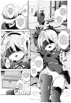 Page 4 of YoRHa 2B-gata Shoushizai Kitai no Toriatsukaidoki ni Okeru Chuui Jikou Tsuutasu