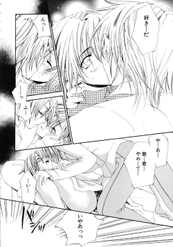 Page 31 of First Love