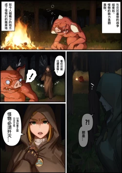 Page 1 of 塞尔达传说:旷野之息-海拉鲁王族的复兴