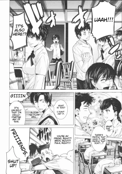 Page 2 of Euryops Daisy