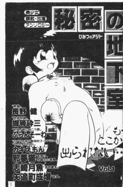 Page 2 of Himitsu no Chikashitsu Vol.1