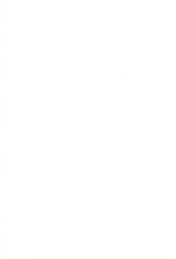 Page 29 of PetaTayun