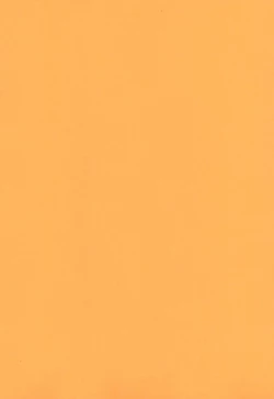 Page 3 of Kimyou Kitenretsu