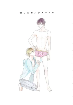 Page 2 of Itoshi no Centimeter | 爱情的长度