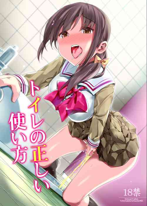 Download Toilet no Tadashii Tsukaikata