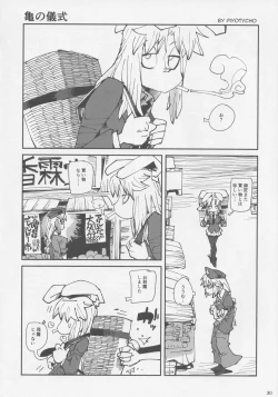 Page 29 of Touhou Okaimono Goudoushi side