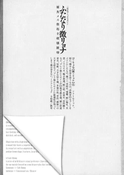 Page 3 of 2D Comic Magazine Futanari Biryona Zako Mesu Bokki o Hakai Ryoujoku