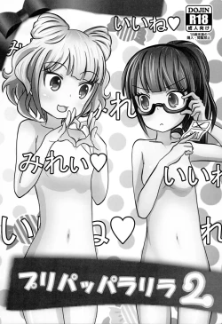 Page 2 of PriPappararira 2