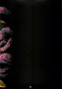 Page 34 of RB-WORKS BACKUP Injuu Maboroshi Yume