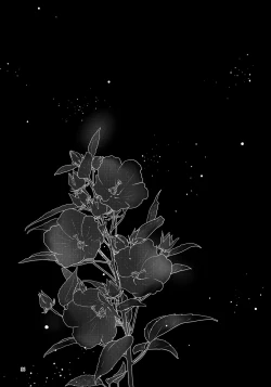 Page 31 of Chou Yashiki e Youkoso | Welcome To The Butterfly Mansion