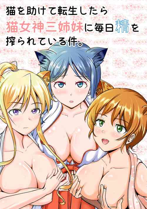 Download Neko o Tasukete Tensei shitara Neko Megami Sanshimai ni Mainichi Sei o Shiborarete iru Ken.