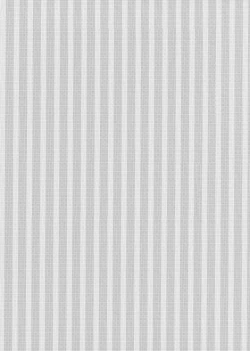 Page 31 of Echi Echi Kouhai-chan!