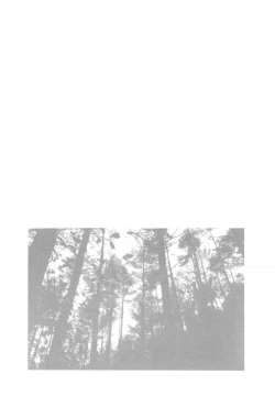 Page 130 of Haado BuriidaaVol. 2