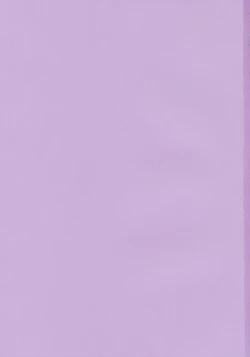 Page 2 of Hakurei Jinja no Reimu-san