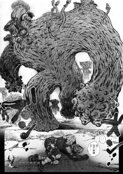 Page 12 of Takekinokonokono