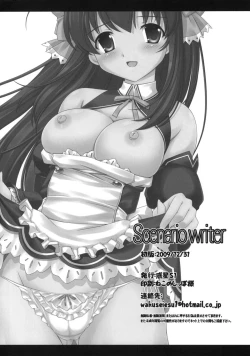 Page 13 of Scenario writer