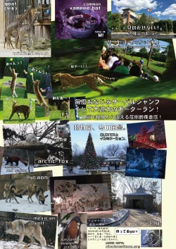 Page 151 of may Kemono Friends Thre Goudoushi