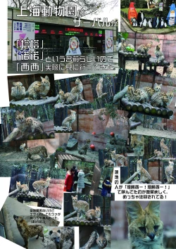 Page 150 of may Kemono Friends Thre Goudoushi 2