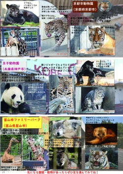 Page 19 of may Kemono Friends Thre Goudoushi 2