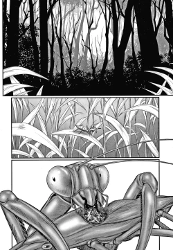 Page 4 of Kusamura | In The Grass