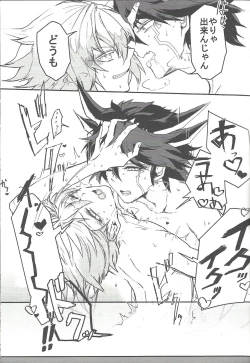 Page 22 of Reversible Check Sheet