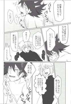 Page 8 of Reversible Check Sheet