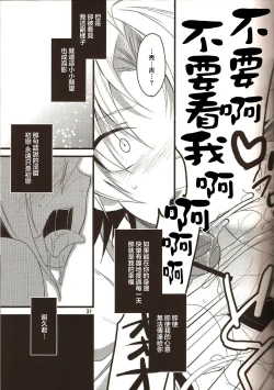 Page 31 of Hideyoshi Director's Cut