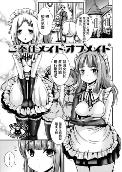 Page 2 of Gohoushi Maid of Maid