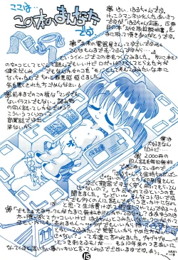 Page 15 of Youjo Toriatsukai Setsumeisho