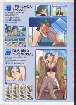Page 28 of Super Real Mahjong Visual Fan Book Perfect Collection