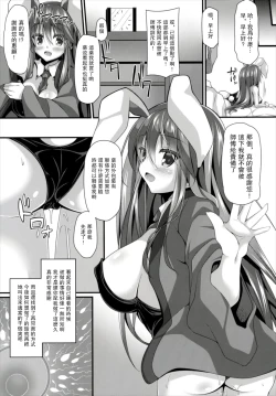 Page 20 of Minmin da Usagi