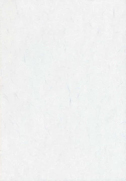 Page 2 of Maria... Arimari!?