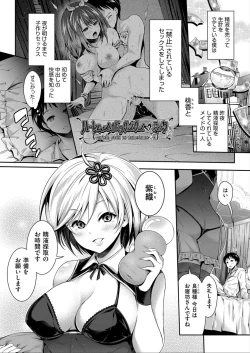 Page 31 of Harem Maid No Damedame Ecchi