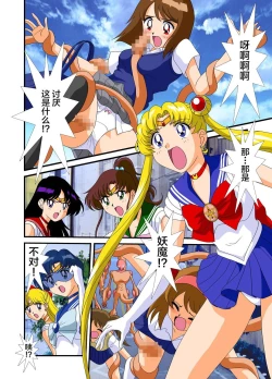 Page 3 of Bishoujo Senshi Sailor Moon Yuusei kara no Hanshoku-sha