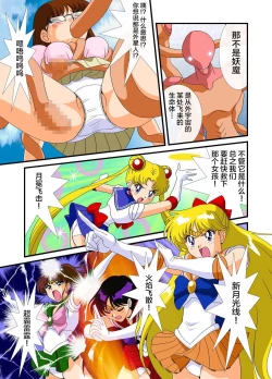 Page 4 of Bishoujo Senshi Sailor Moon Yuusei kara no Hanshoku-sha
