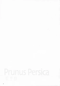 Page 30 of Prunus Persica