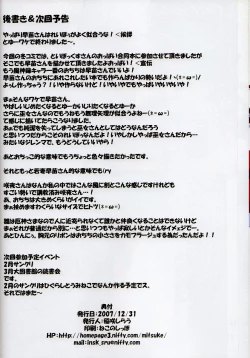 Page 13 of [SchwesterRollin 27