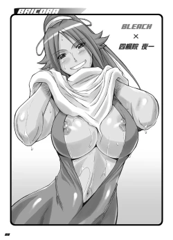 Page 2 of BRICOLA Soushuuhen