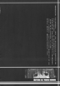 Page 20 of Motsurebi Tokishi Honoo - Hiun no Yume, Tsunagi