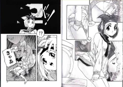 Page 29 of Hikagyaku Sei Hannou