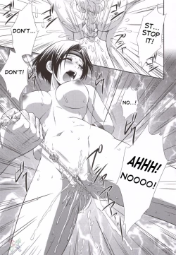 Page 18 of Sonshoukou Muzan | Sonshoukou's Tragedy