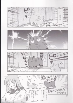 Page 17 of PLUMATTERU?