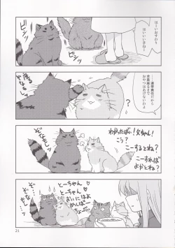 Page 19 of PLUMATTERU?