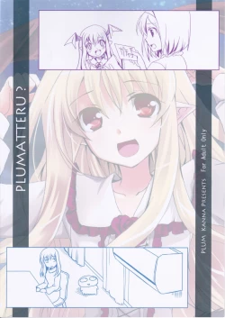 Page 29 of PLUMATTERU?