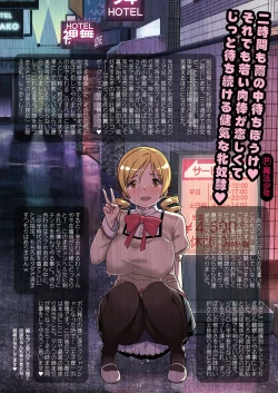 Page 13 of Kongan Tanetsuke Koushuu Benjo