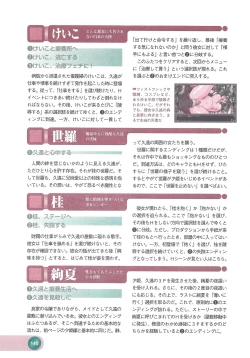 Page 142 of Official Alicesoft Full Completion Guide 2