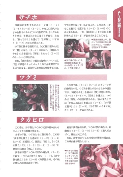 Page 89 of Official Alicesoft Full Completion Guide 2