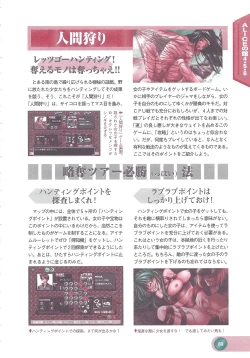 Page 91 of Official Alicesoft Full Completion Guide 2