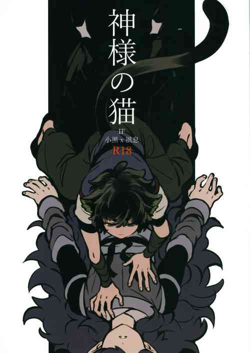 Download 神様の猫