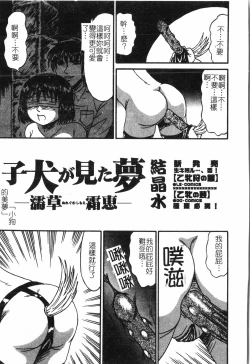 Page 96 of Fallen love at night